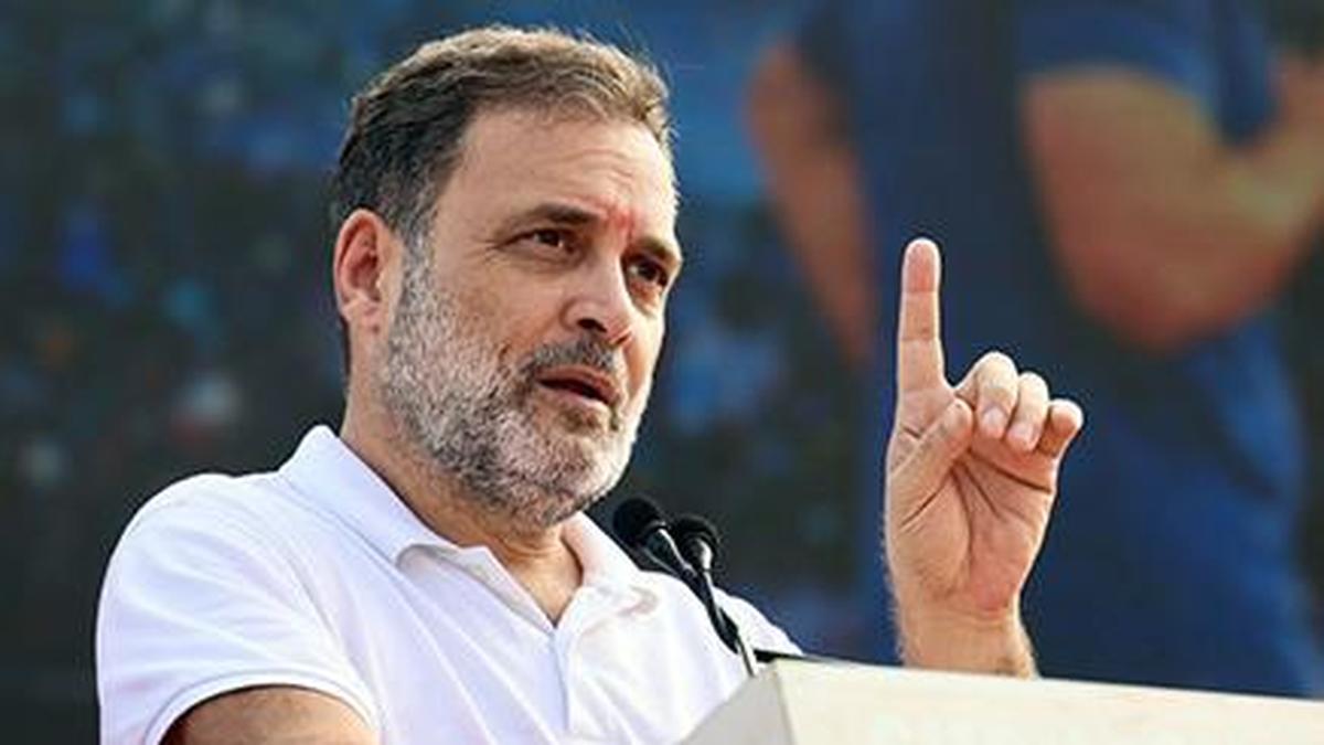 Public banks are nation-building tools, not assets for sale: Rahul