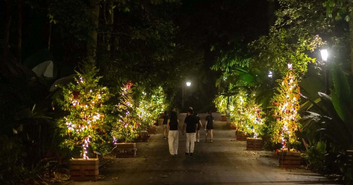 Singapore Botanic Gardens invites public to decorate trees for festive initiative