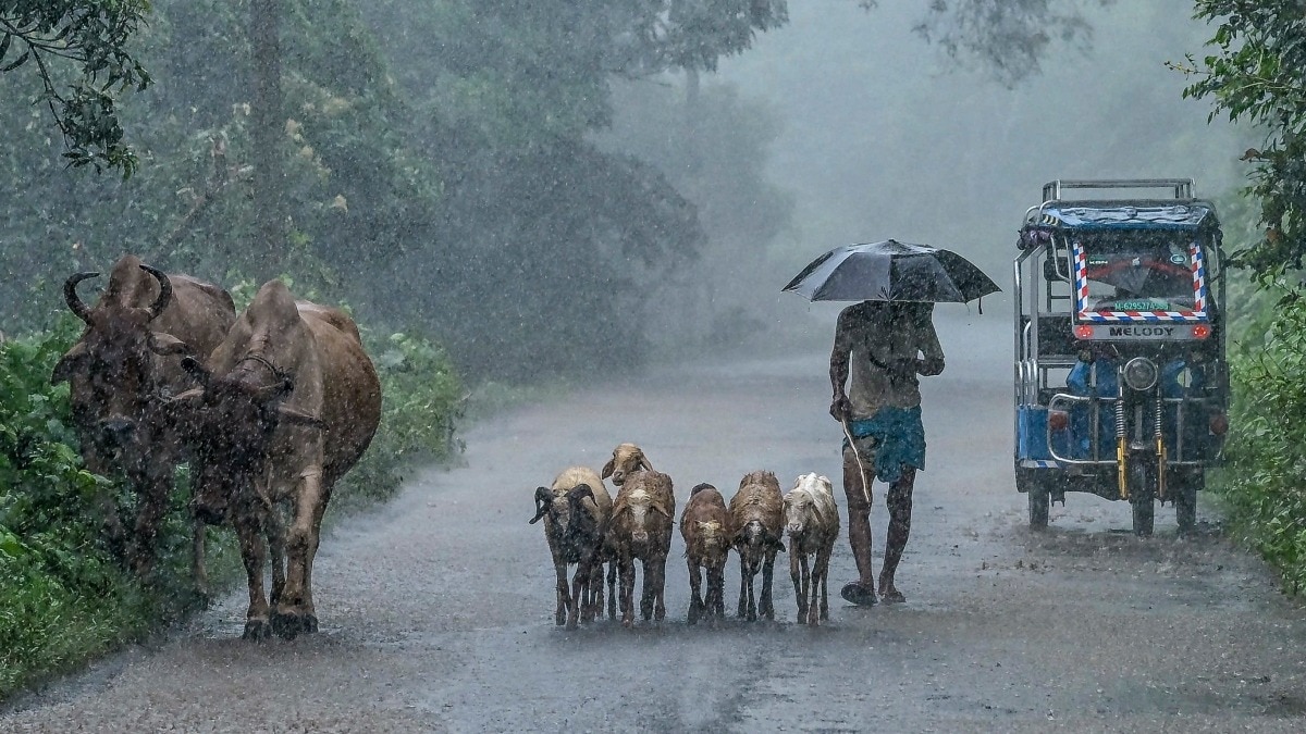Heavy rainfall triggers flooding across eastern and central India