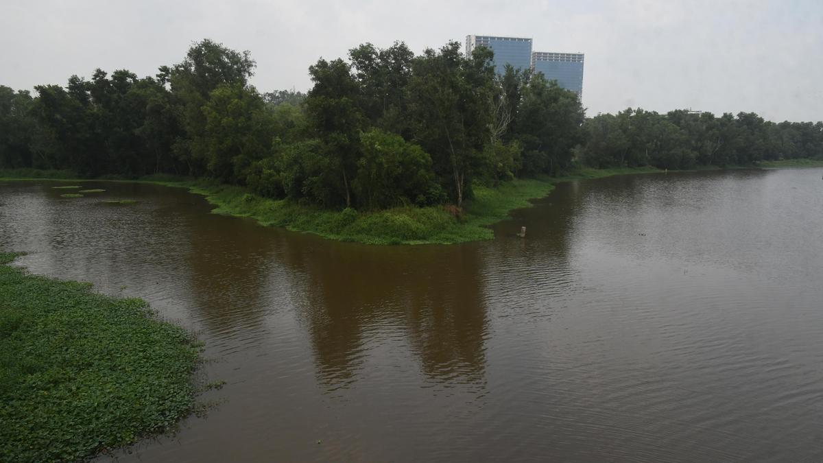 NGT faults Kerala PCB over inadequate Kadambrayar pollution control plan