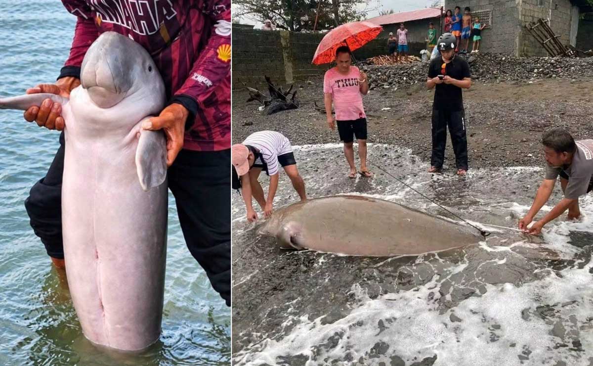 Patay na adult dugong nahanap sa Antique habang inaligtas ang bata