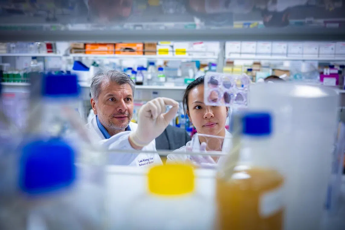 NTU researchers identify protein key to cancer drug resistance