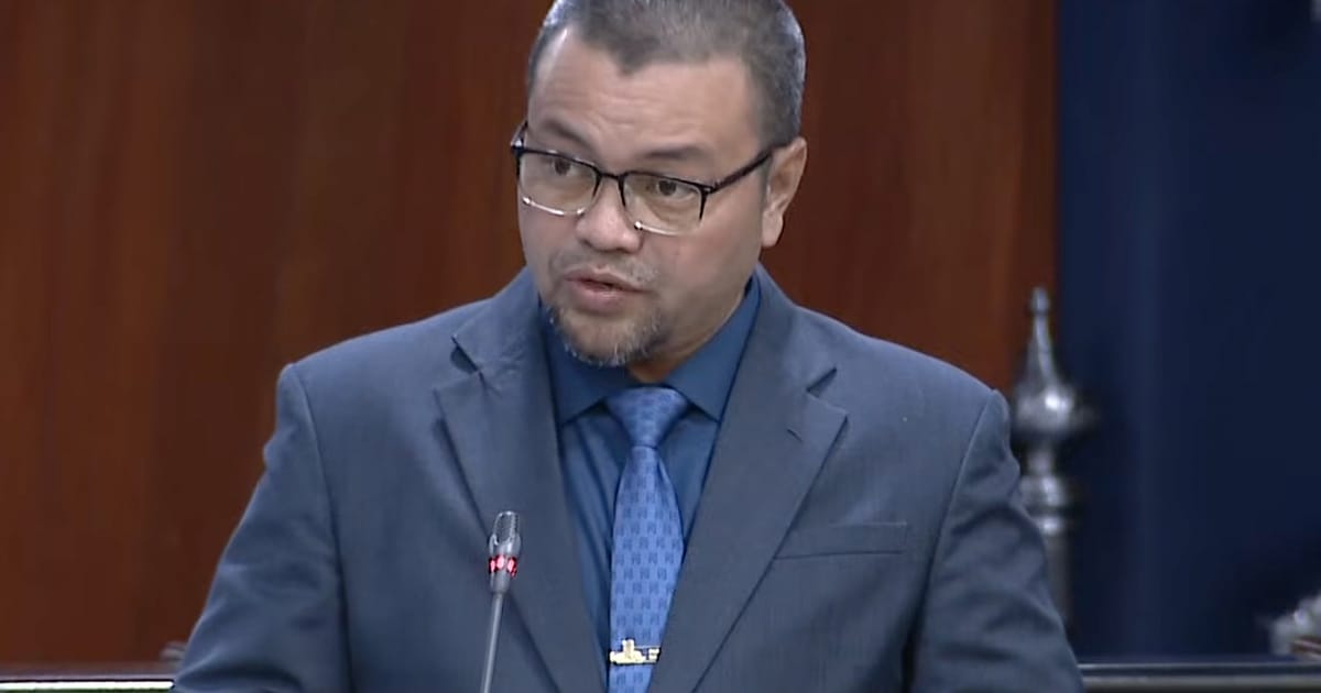 Long-term minimum wage plan needed to help employers prepare, MP says