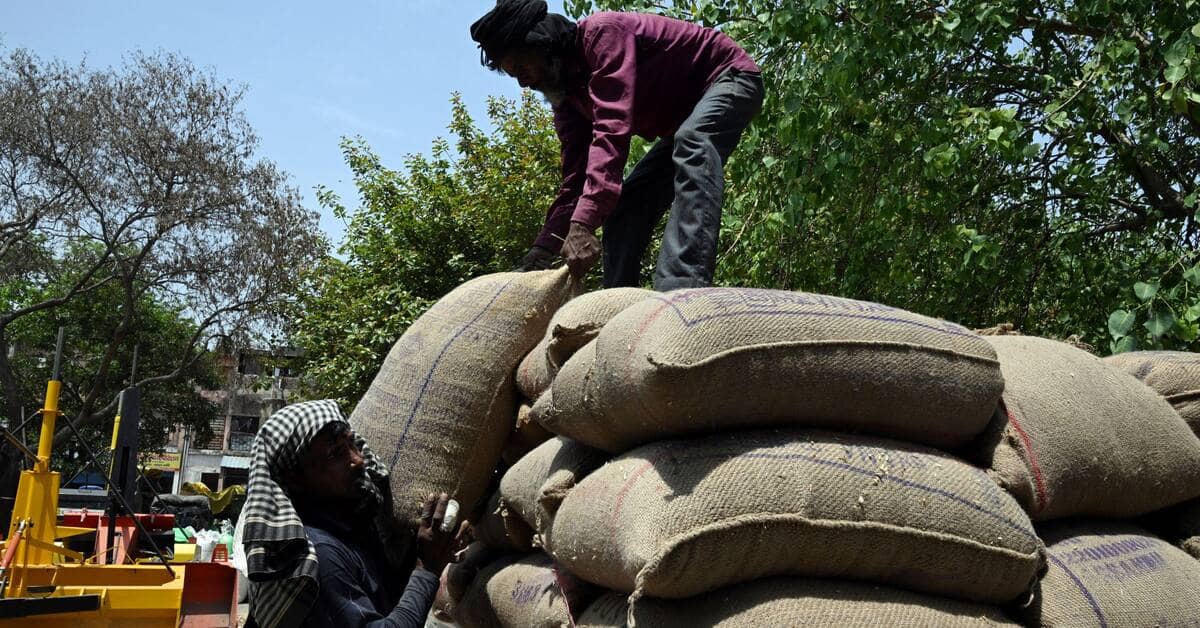Global grain surplus fails to ease food price pressures for consumers