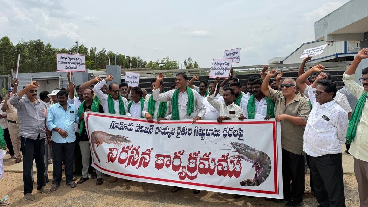 Nellore shrimp farmers demand better prices as industry tensions rise