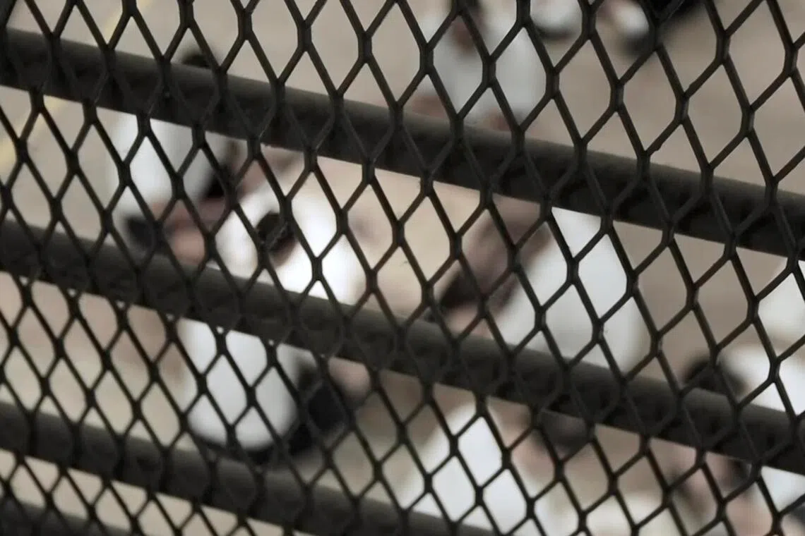 Chemical Castration: Asia's Controversial Tool Against Sex Offenders