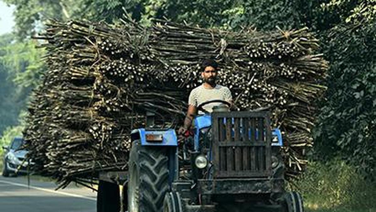 Uttar Pradesh leverages technology to modernise sugarcane farming sector