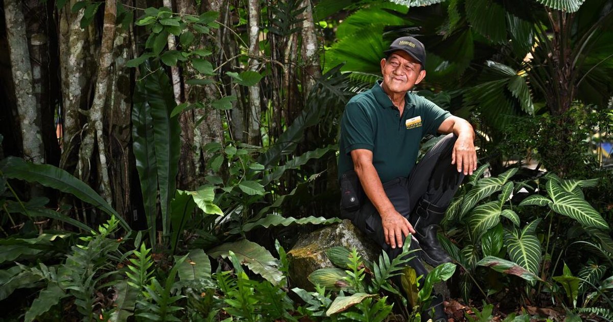 Older adults reinvent retirement as springboard for new ventures