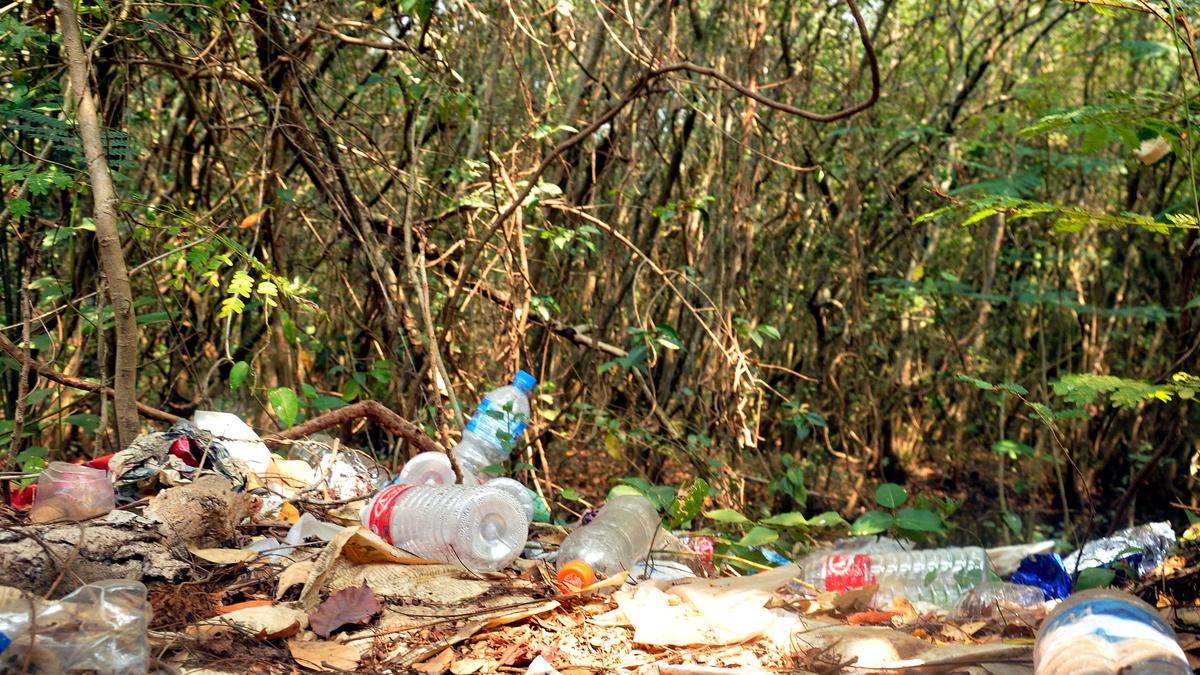 Waste dumping crisis threatens forest areas around Erumely in Kerala