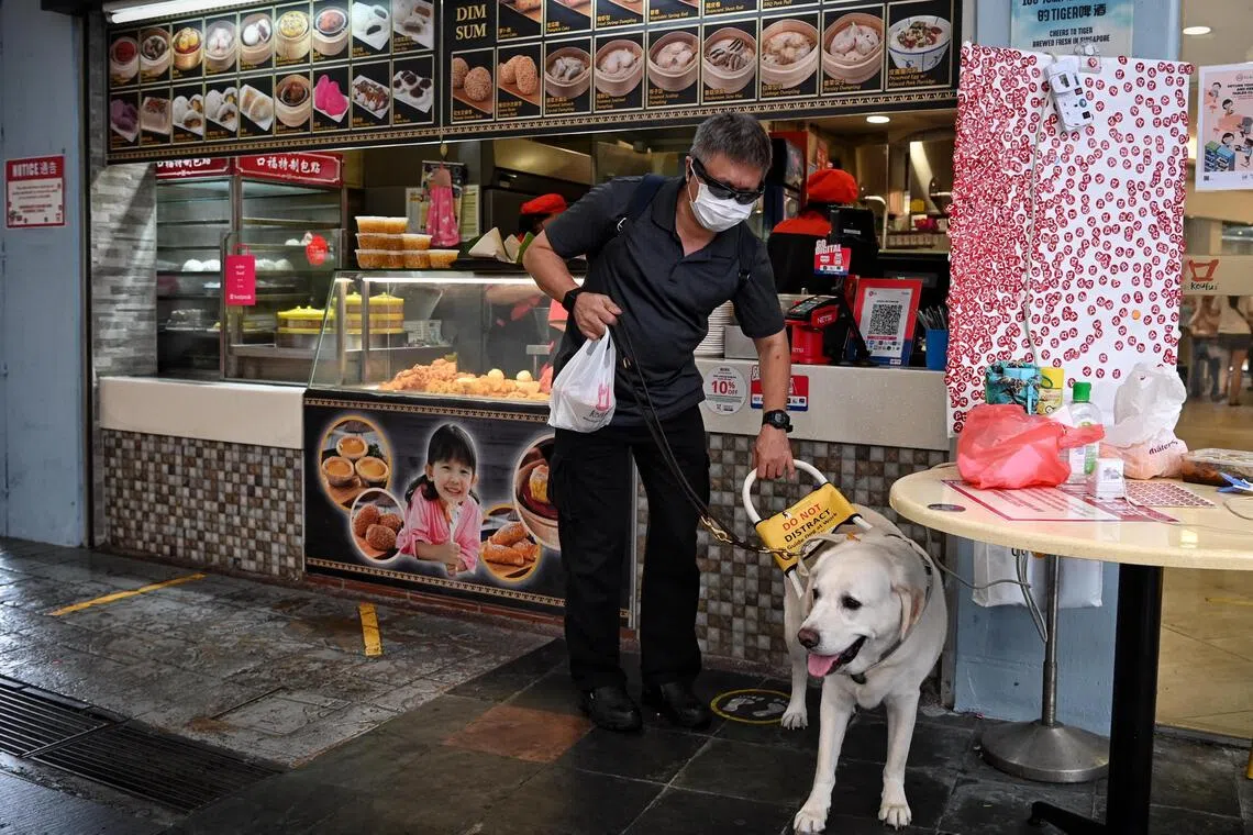 Singapore to expand assistance dog access in food establishments