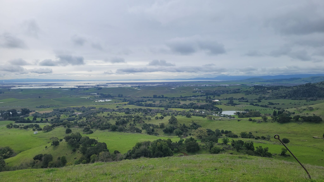 Major conservation deal protects di Rosa art center's Napa Valley landscape