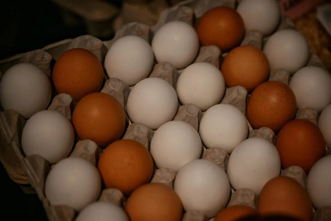 Thailand urges exporters to reduce egg shipments following flood damage