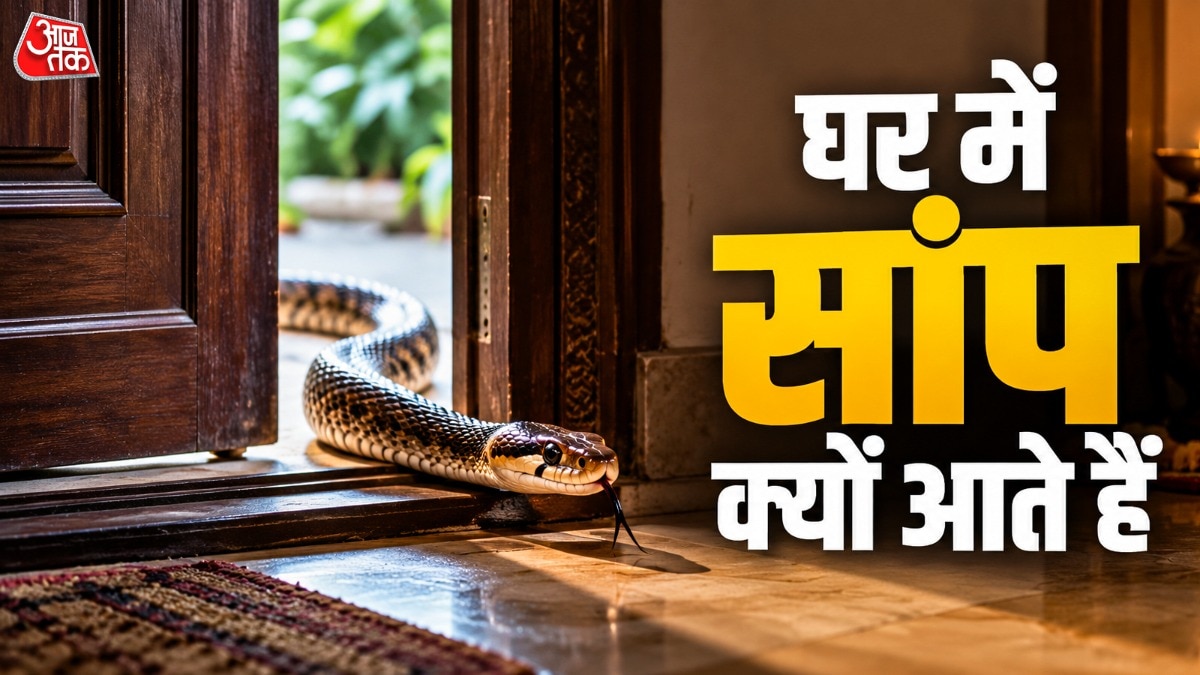 Why snakes enter homes: experts identify key attractants