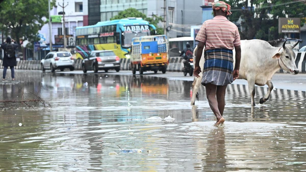 Heavy rains disrupt traffic on Kodaikanal ghat roads in Tamil Nadu