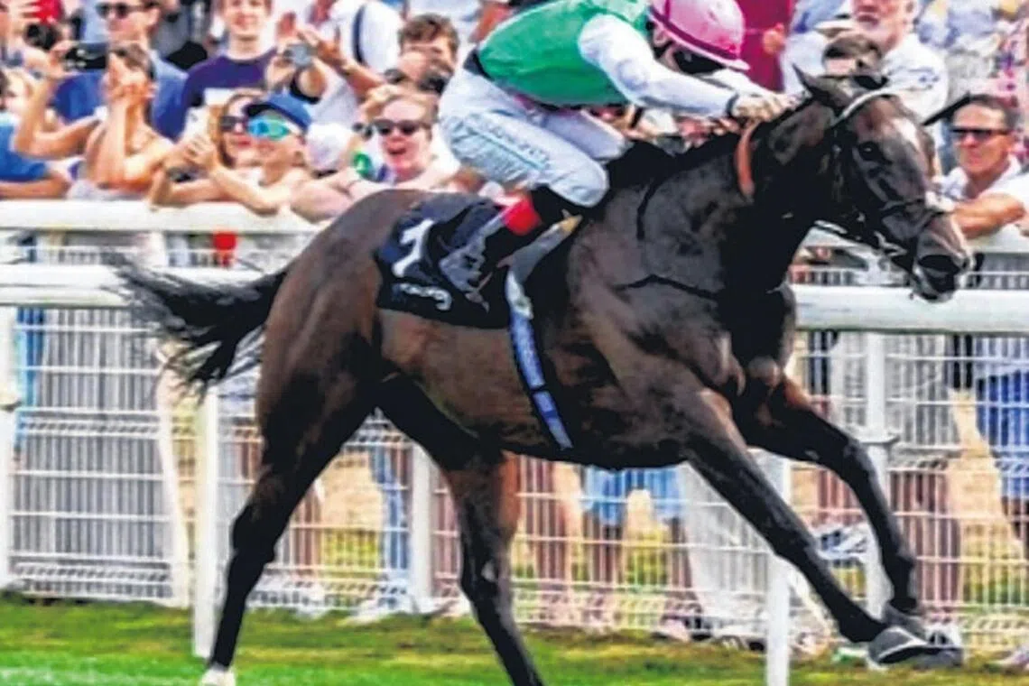 Blue Bolt eyes strong showing at Newmarket racing festival