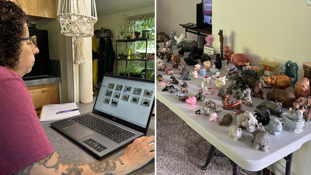 From One Toy to 1,086: Woman Sets Hippo Collection Record