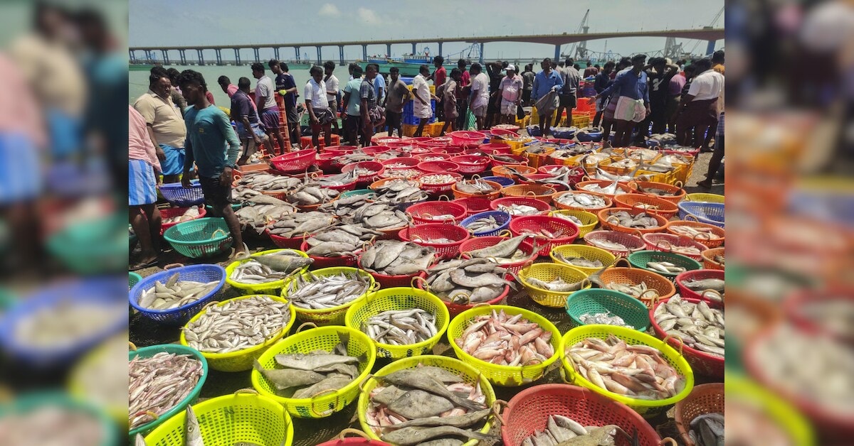 Kerala charts course for sustainable seafood sector with new management plan