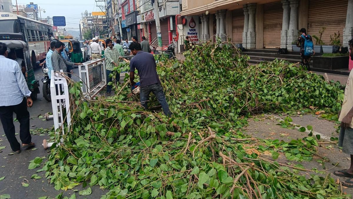Cyclone Arnab intensifies to severe storm, threatens Andhra coast