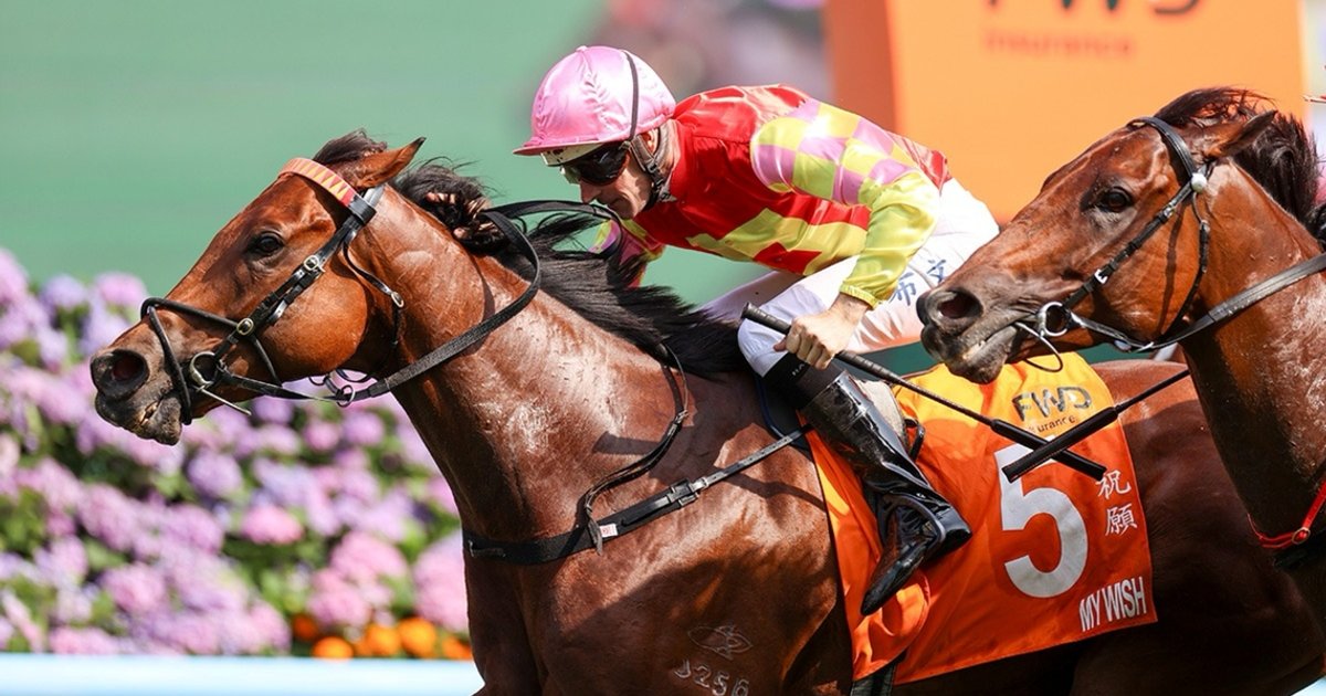 My Wish poised for winning debut in feature race