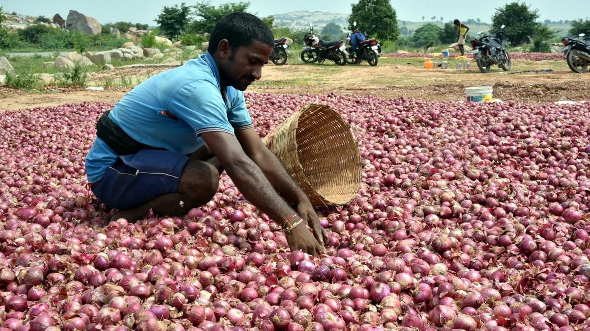 Andhra Pradesh Cabinet panel acts on food inflation with price controls