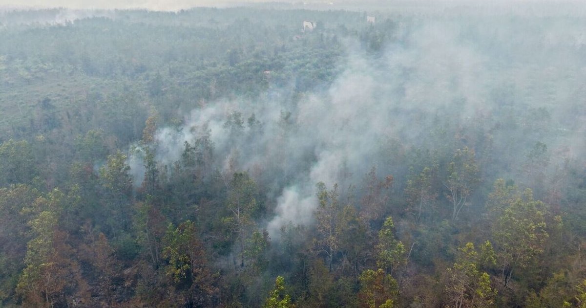 Indonesia tightens fire prevention strategy amid seasonal haze concerns