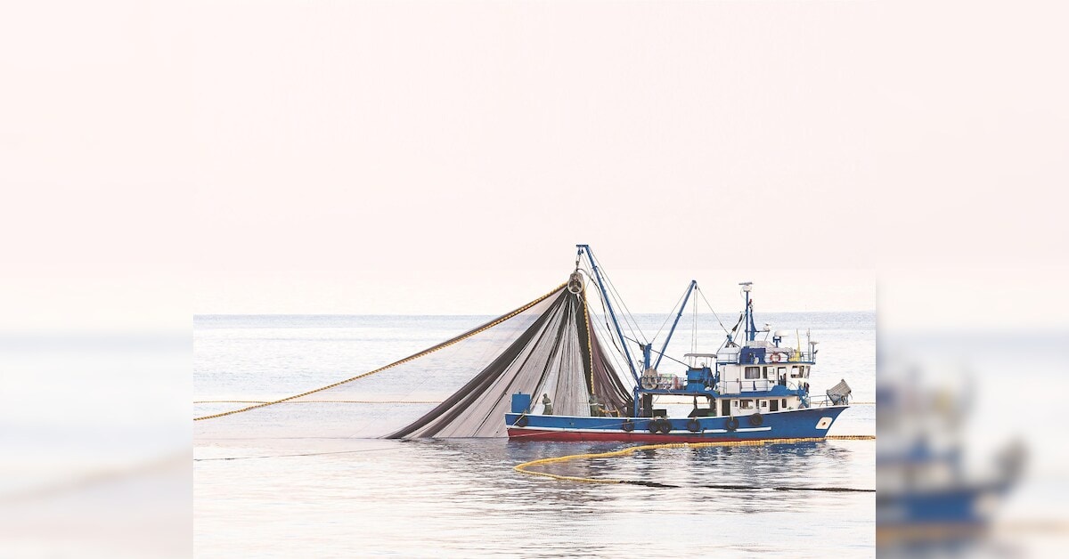 New authorisation rules open doors for Indian deep-sea fishing
