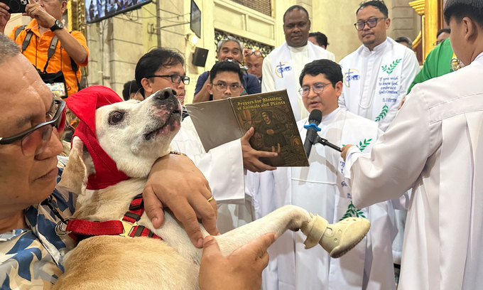 Philippine clergy bless beloved pets in annual St. Francis celebration