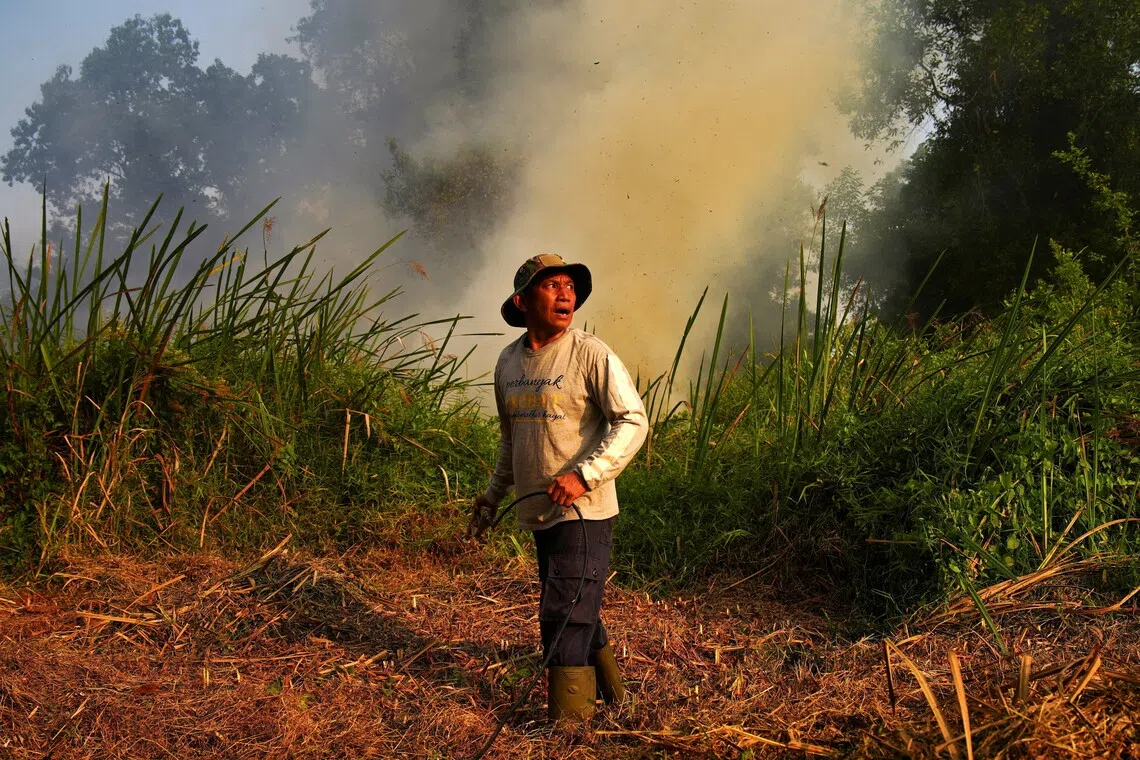 El Niño to bring heat and drought risk across Southeast Asia