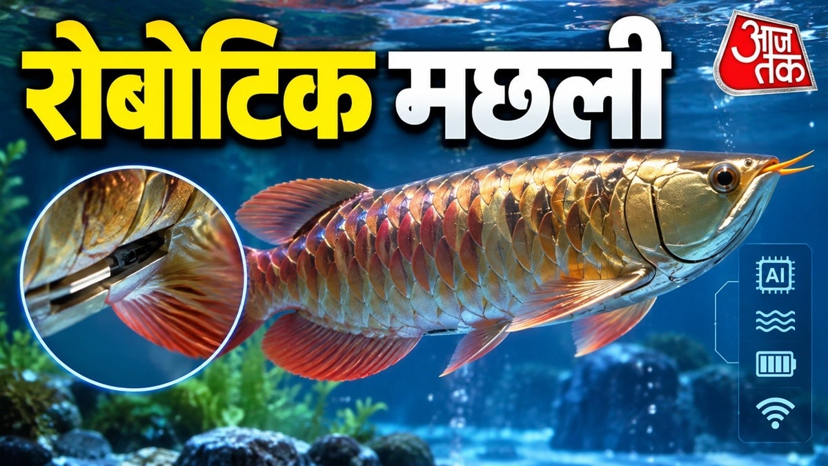 चीन ने विकसित की कृत्रिम बुद्धिमत्ता वाली मछली रोबोट, जलीय सर्वेक्षण में क्रांति
