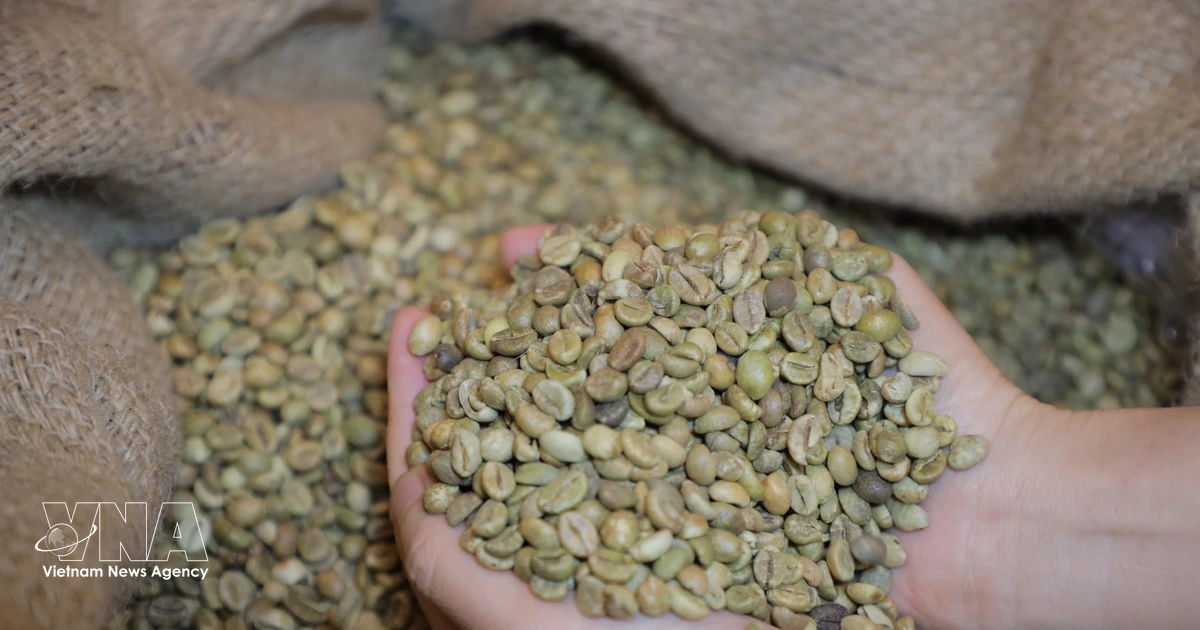 Vietnam eyes higher value in global agricultural supply chains