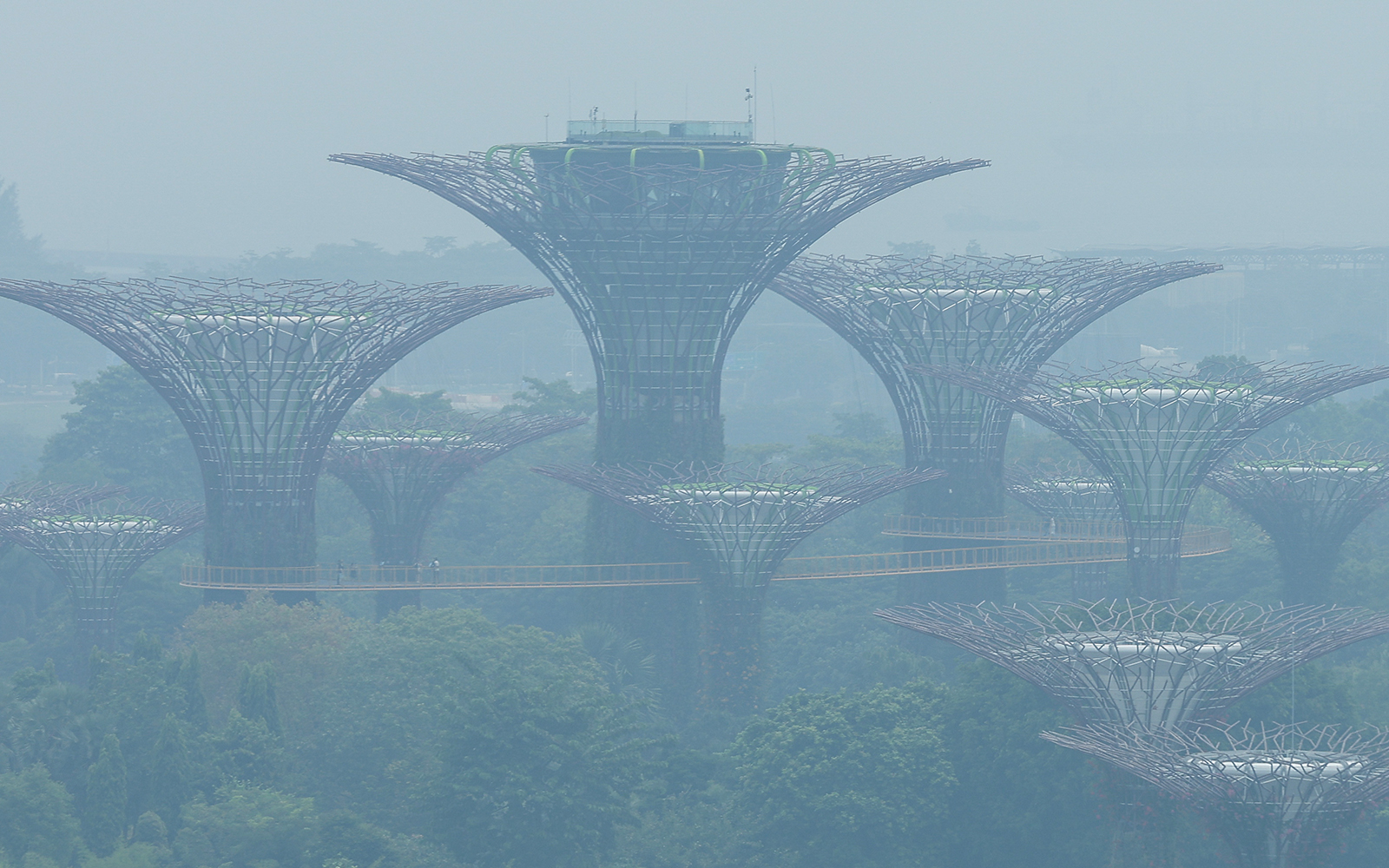 Singapore expands investigation into local firms behind Indonesian fires
