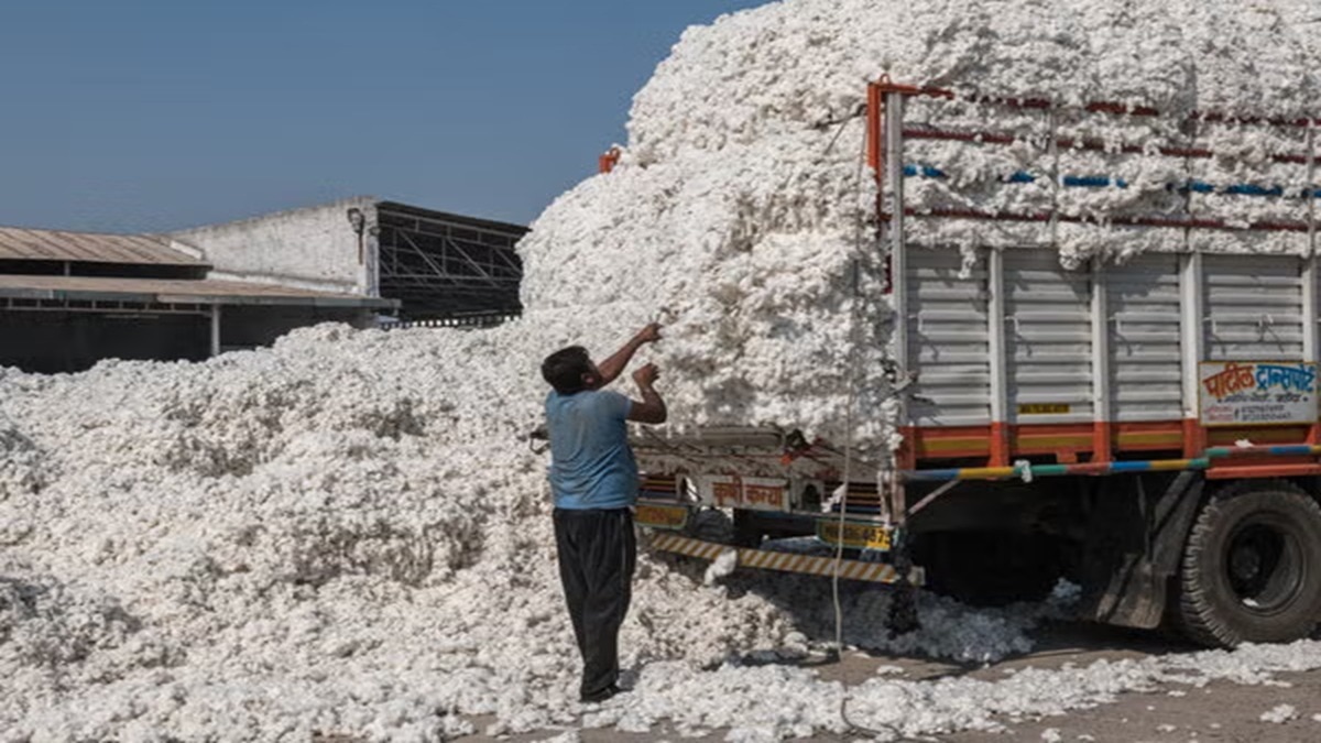 India extends zero customs duty on cotton imports until end-2026