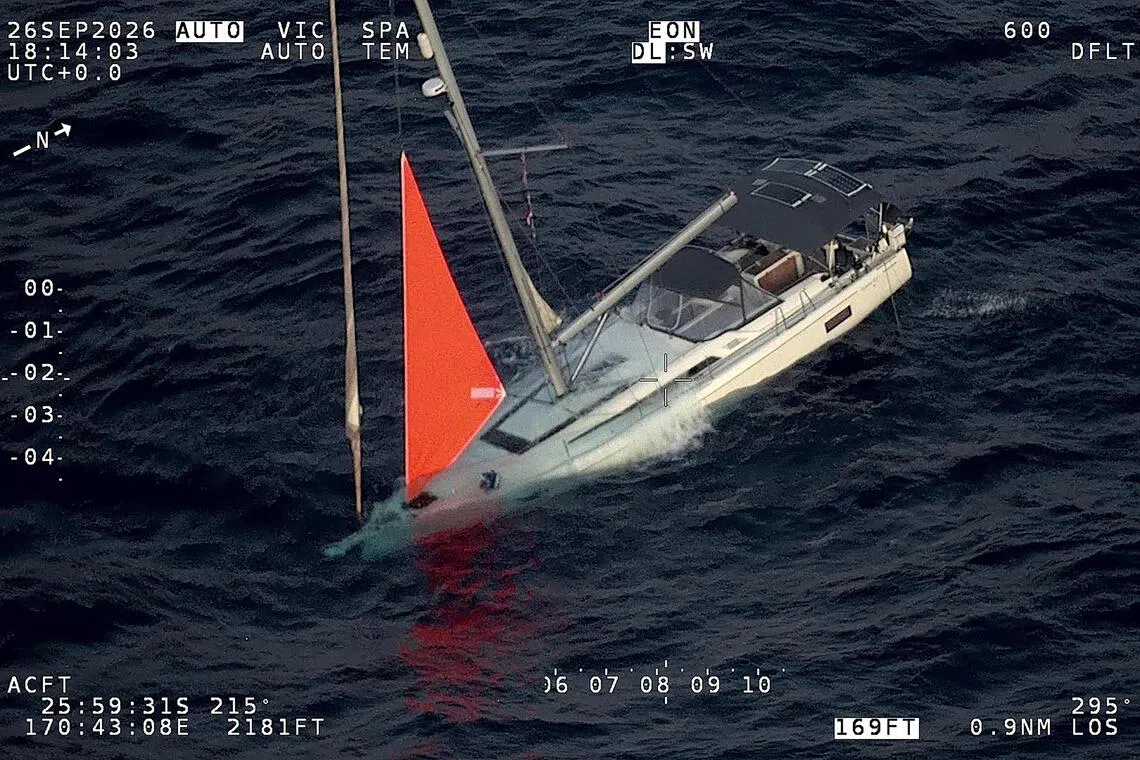 Sperm whale sinks yacht in South Pacific, crew survives