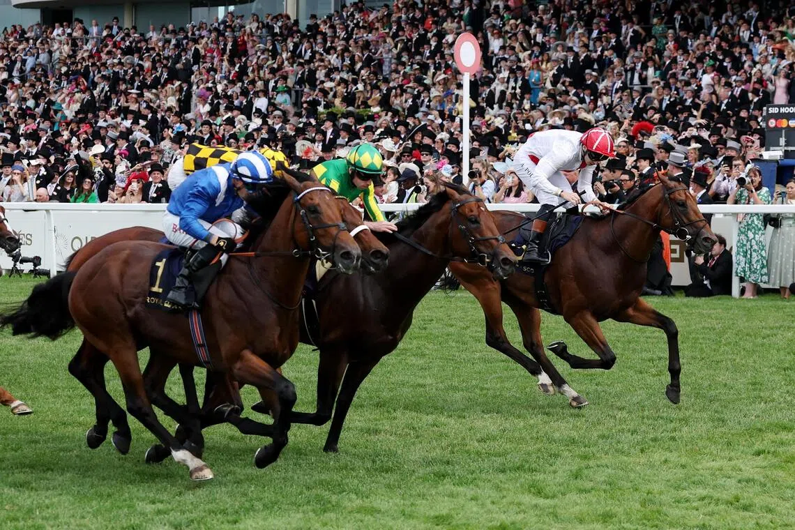 Almeraq seeks redemption in Haydock Park bid