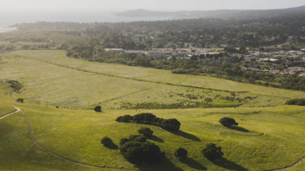 California wetlands restoration project receives major funding boost