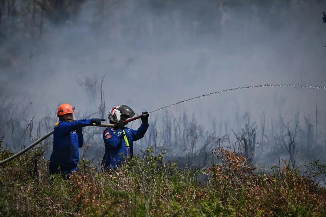 Indonesia's Recurring Haze Problem Persists Despite Decade of Reforms