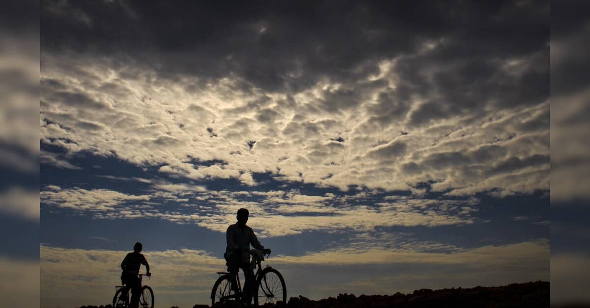 Delhi set for sunny skies as South India braces for downpour
