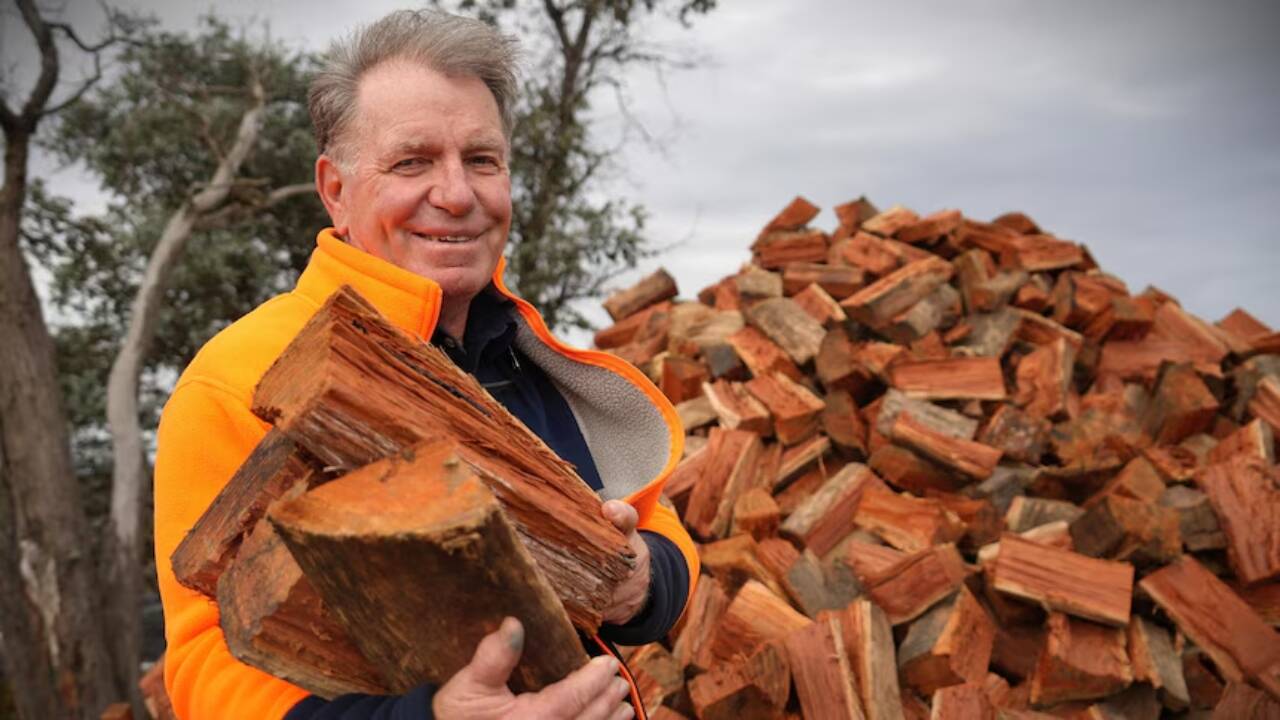 Law graduate pivots to firewood business, reaches million-bag milestone