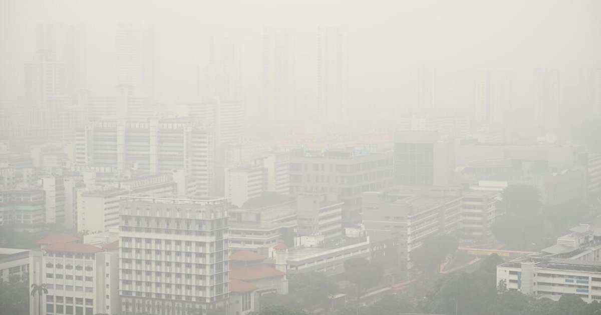 Palm oil stocks tumble as Singapore probes haze culprits