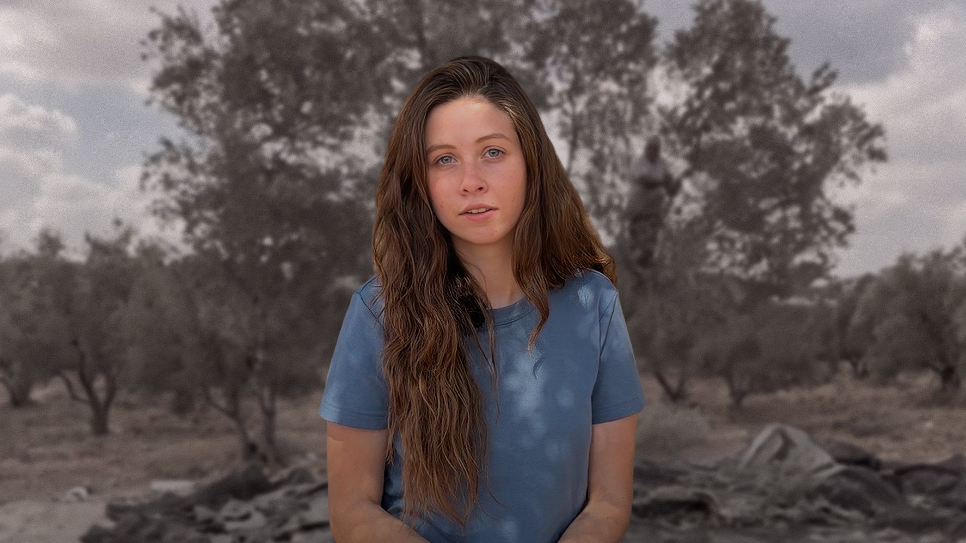 West Bank olive harvest becomes flashpoint between Palestinians and settlers