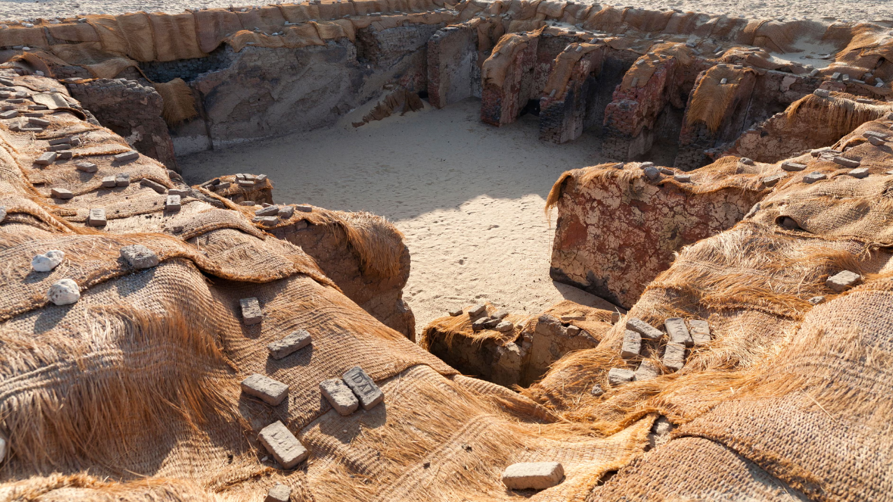 Ancient Egypt's early rulers buried with retainers, skulls suggest ritual sacrifice