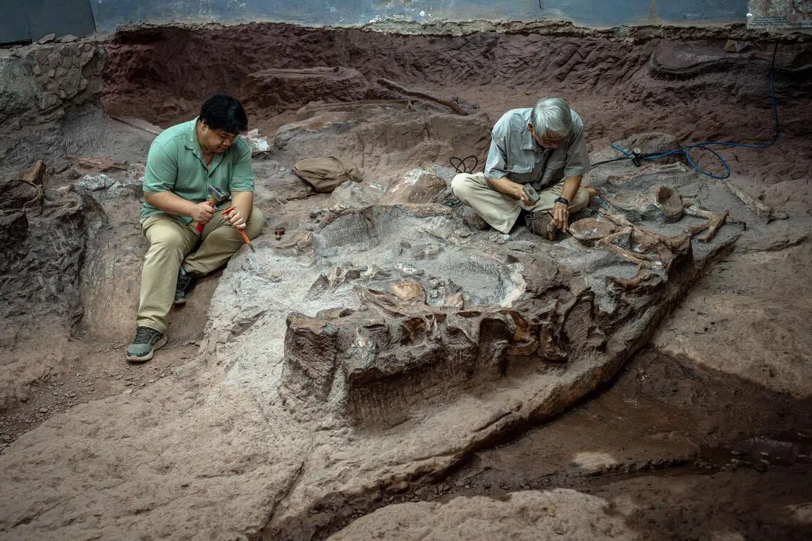 Major dinosaur fossil discovery in Thailand advances evolutionary research