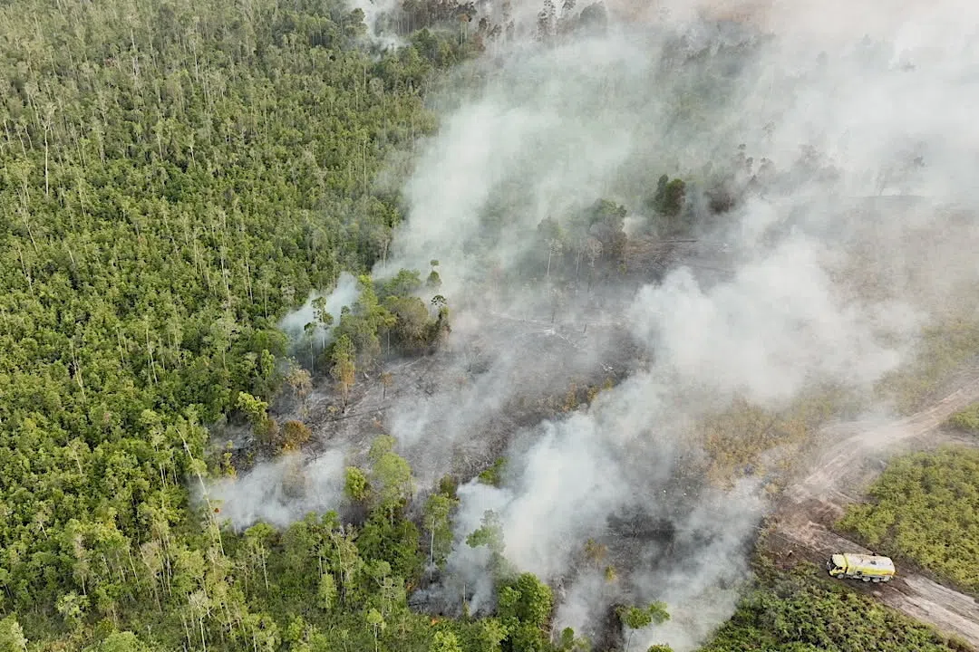 Indonesia intensifies Kalimantan fire crackdown as Prabowo tours damage zones