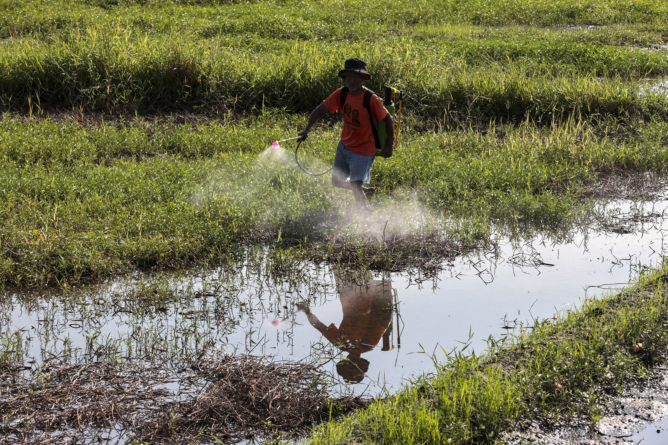 Experts urge Filipinos to halve water use amid El Niño concerns