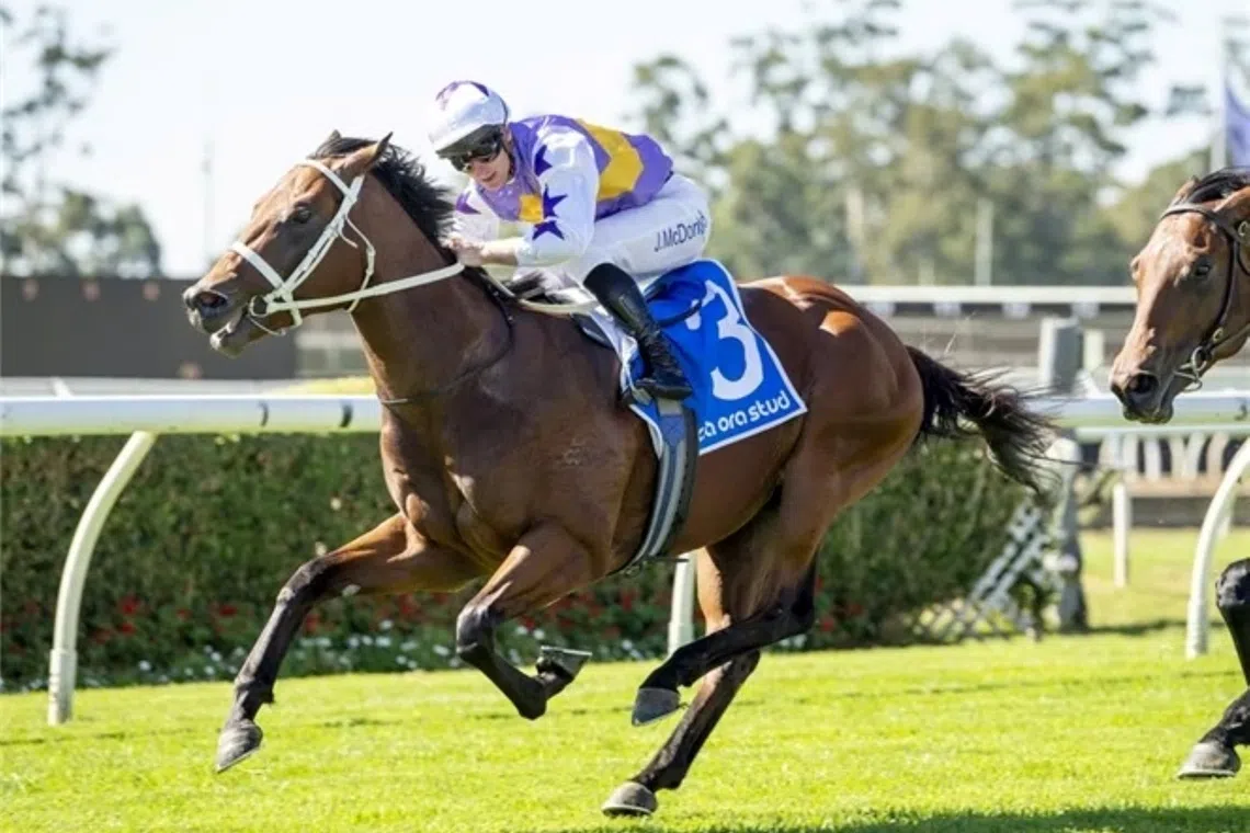 Waller confident as five contenders line up for Golden Rose