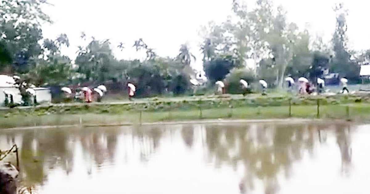কুড়িগ্রামে সার ডিলারের গুদাম ভেঙে সার নিয়ে গেলেন কৃষকরা
