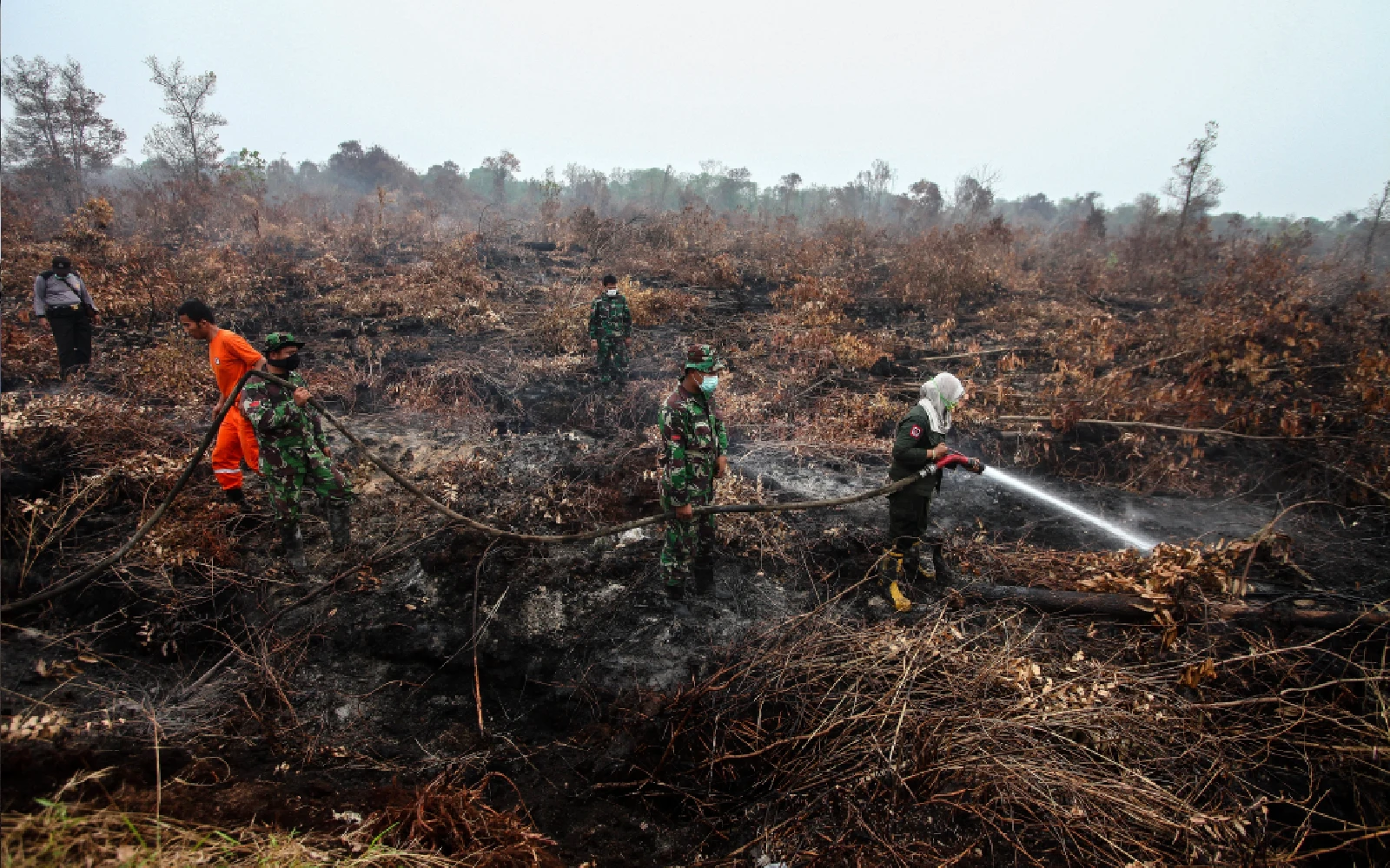 Indonesia's burned land doubles as forest fires intensify in September