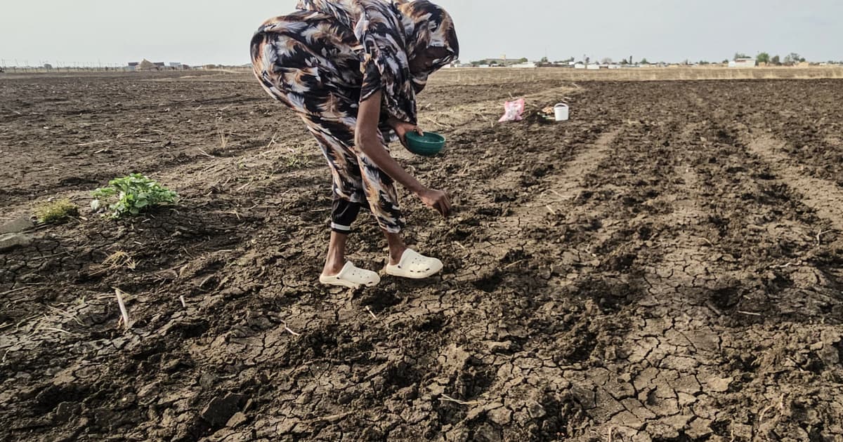 Sudan's agricultural crisis deepens as Nile water levels fall sharply