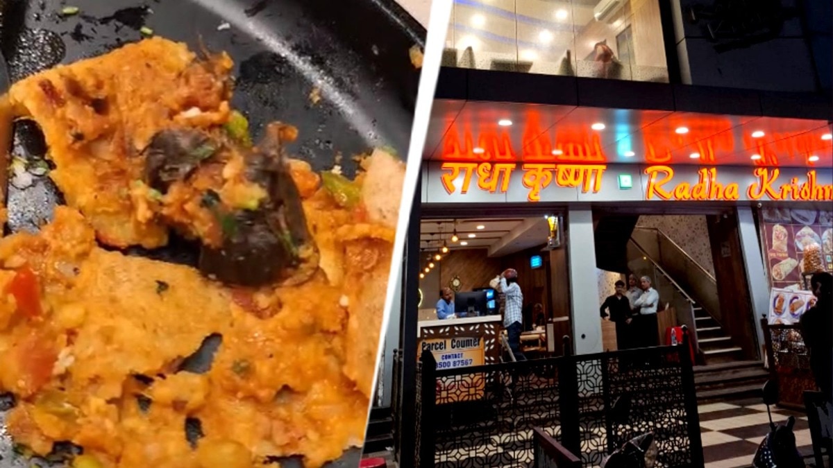 Eatery shut down after rat found in customer's dosa