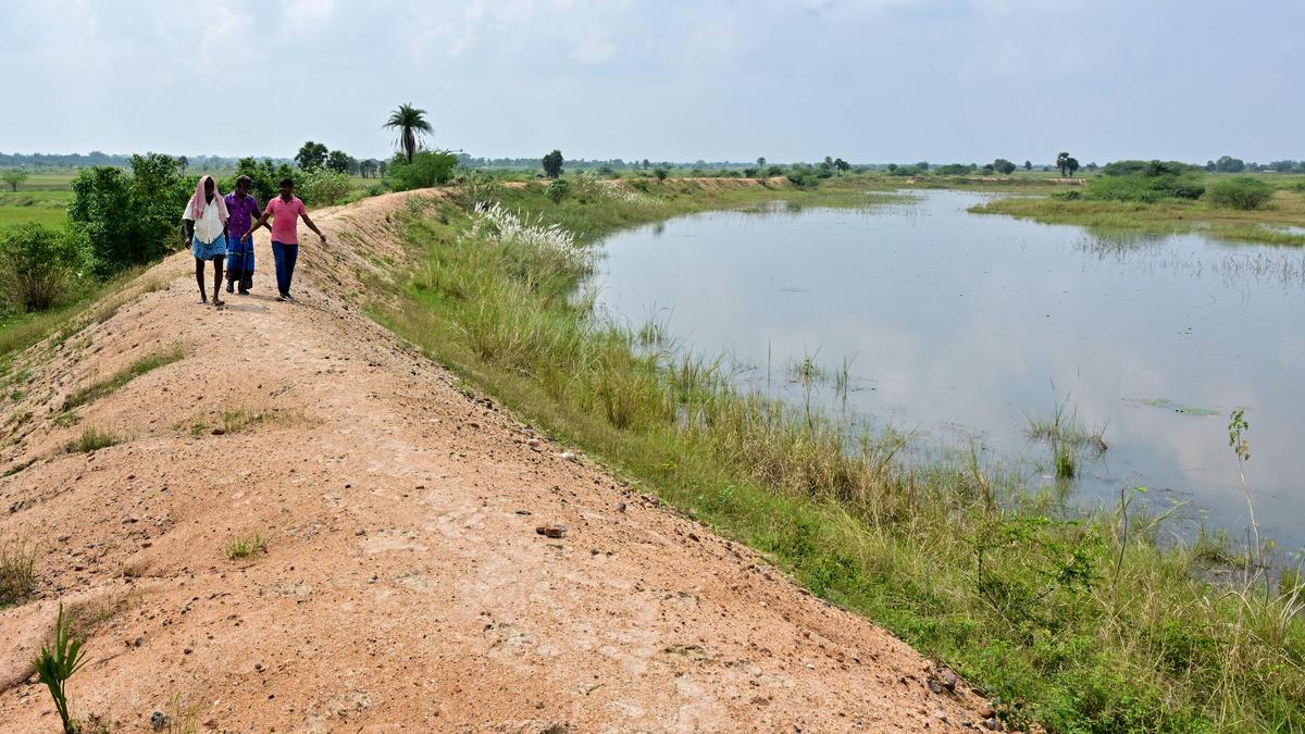Tamil Nadu's Parandur airport pullout raises questions on land acquisition reversal